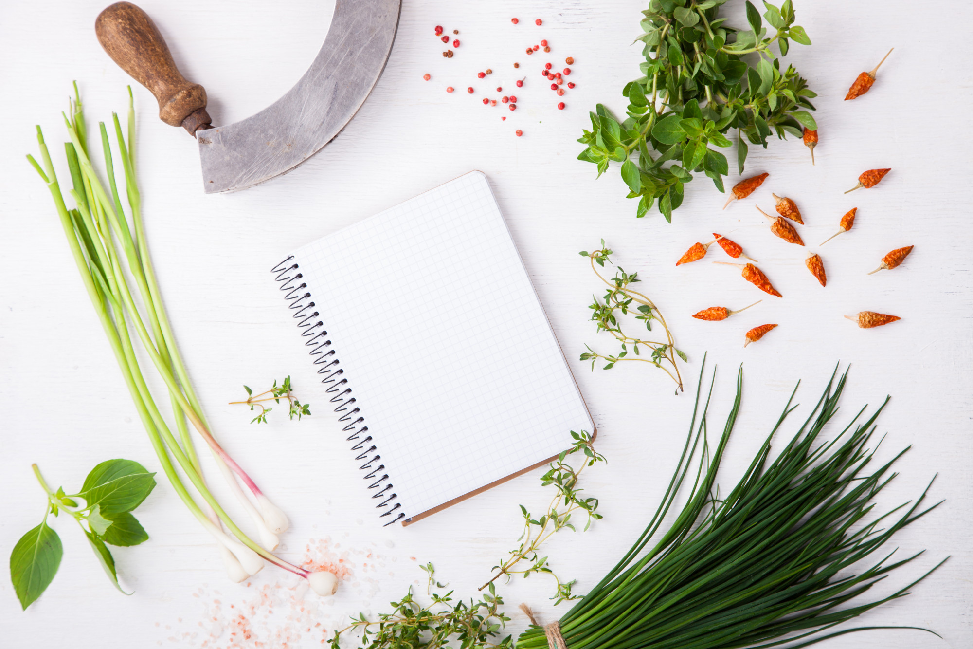 Assorted lesson booklets and a small herb pot